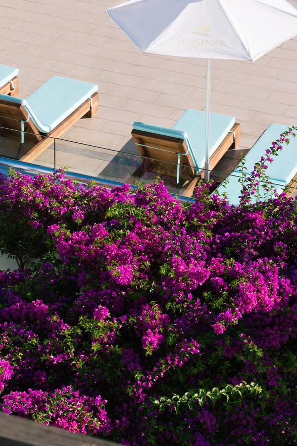 Hotel Oceanis & Psalidi (Kos)